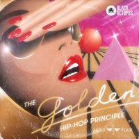 Golden Hip Hop Vinyl samples