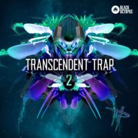 Transcendent Trap 2