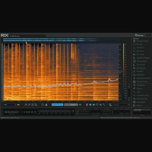 Izotope RX6