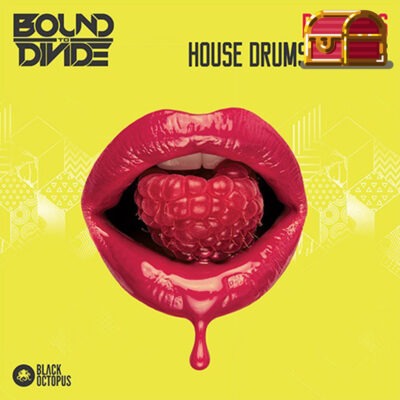 Delicious House Drums & Loops by Bound to Divide