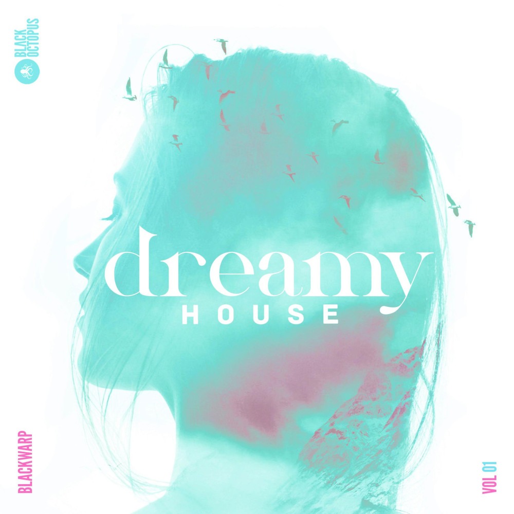 Make Dream House Great Again Vol.1, Various